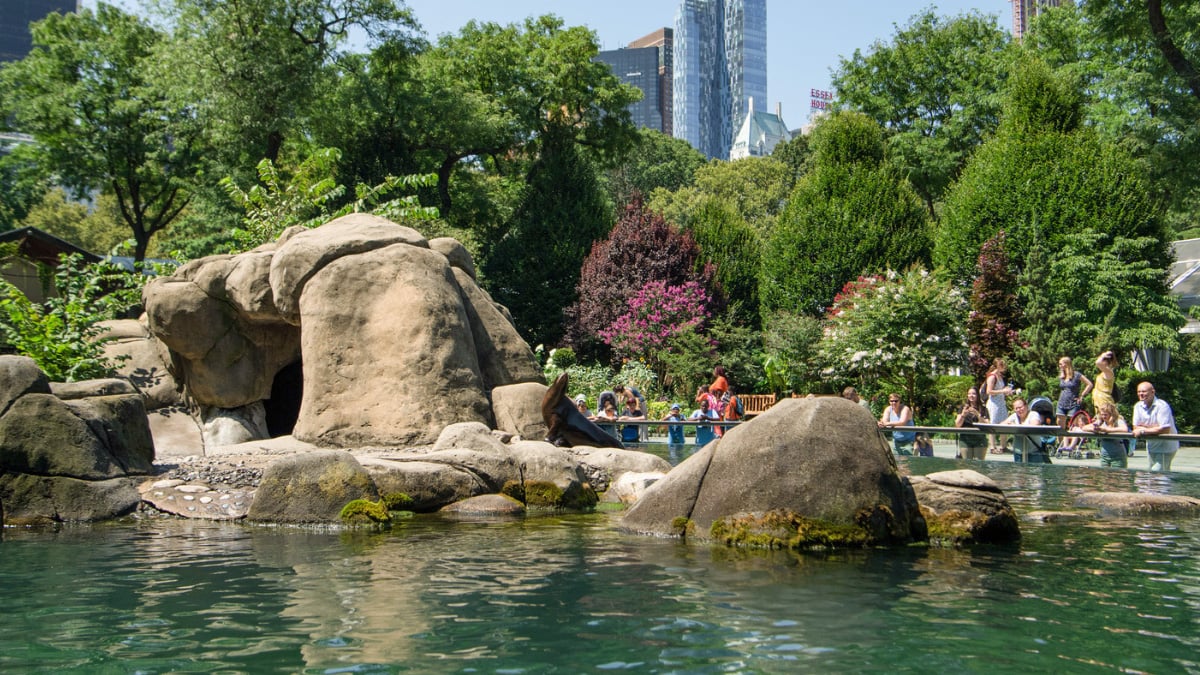 Central Park Zoo