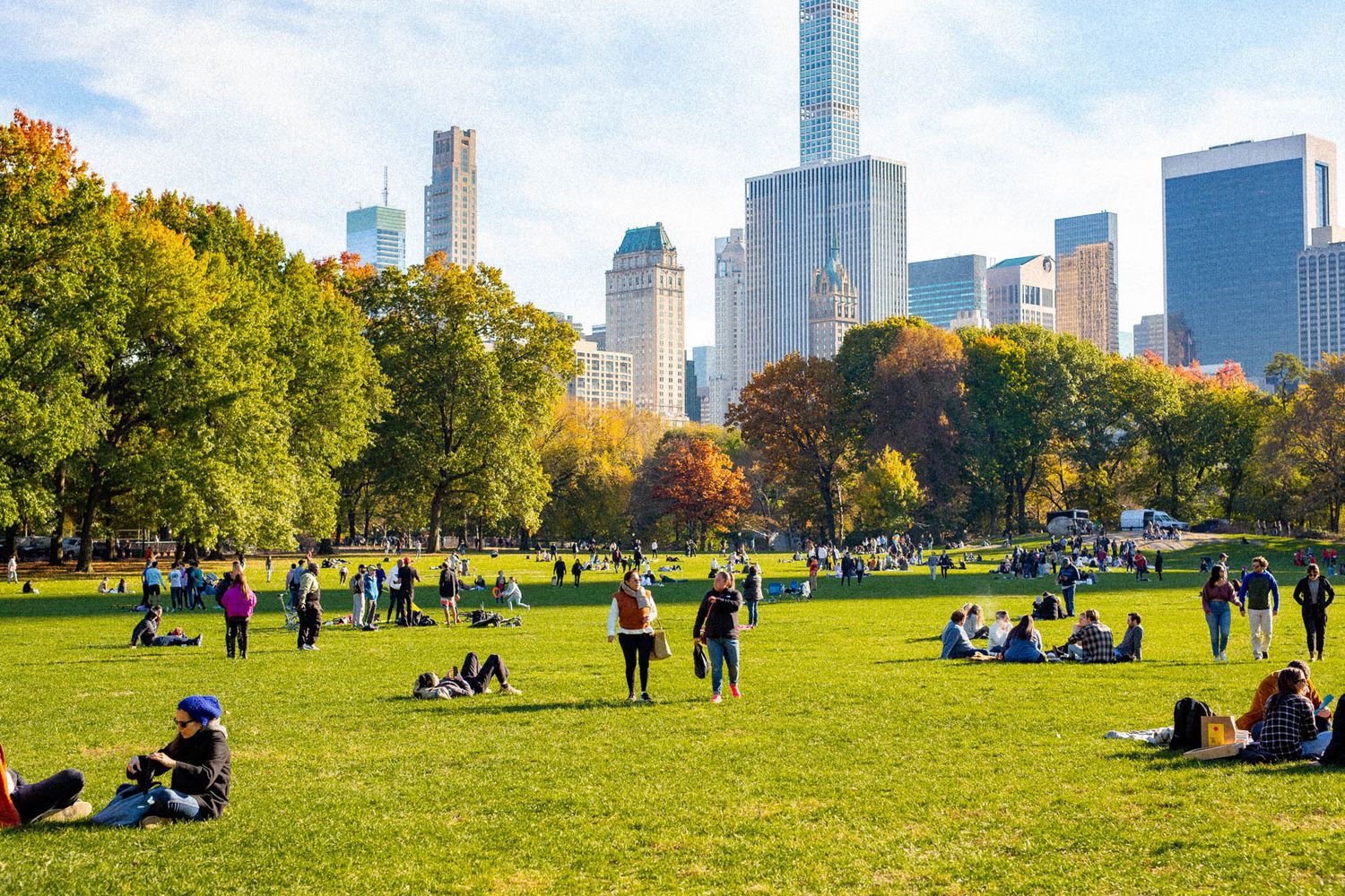 Sheep's Meadow