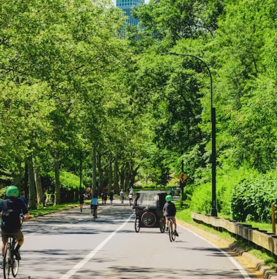 Ride In Central Park | Footer Gallery Image 3