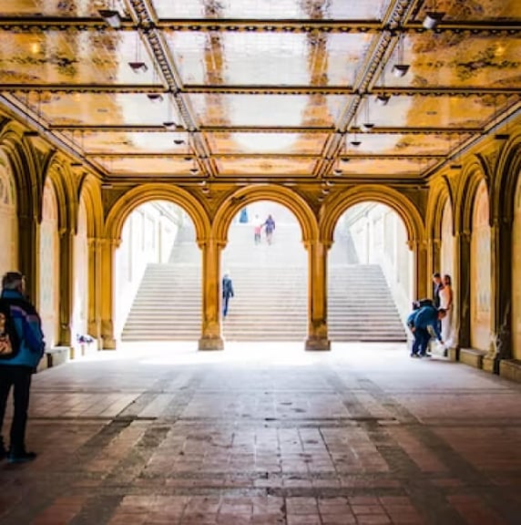 Ride In Central Park | Footer Gallery Image 4