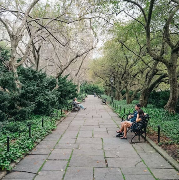 Ride In Central Park | Footer Gallery Image 5