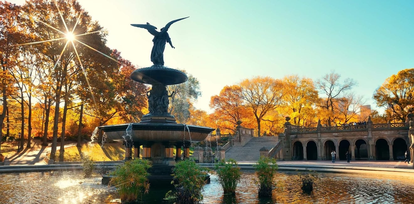 Ride In Central Park | Garden