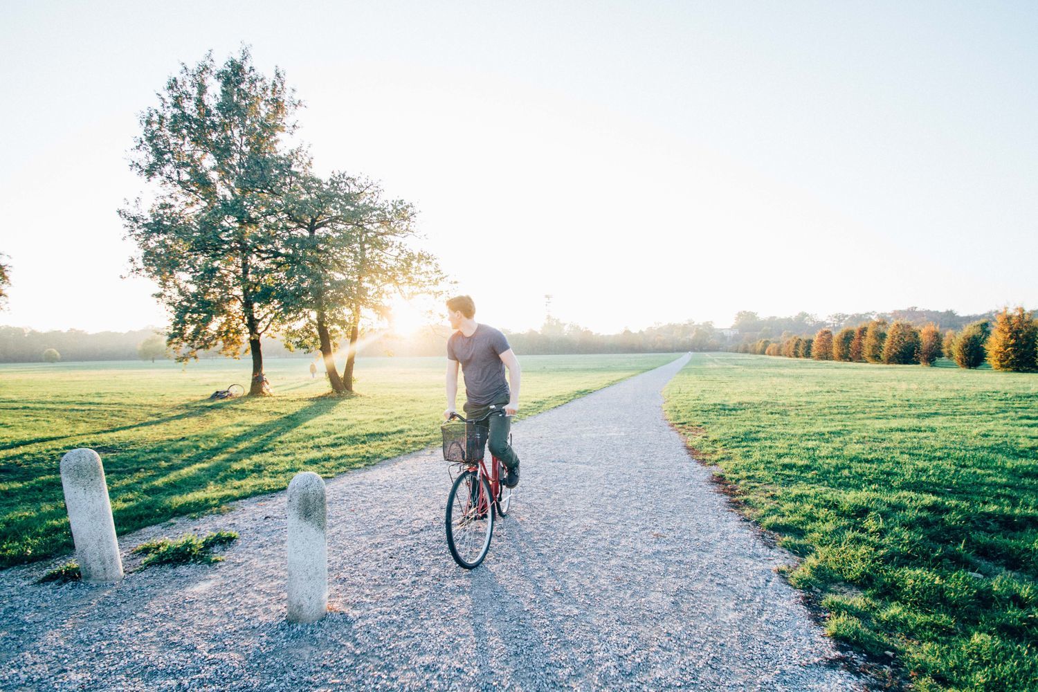 bike rental 2