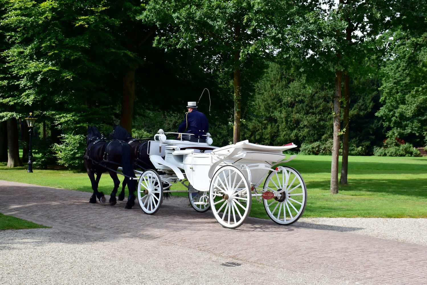 ride in central park carriage tour