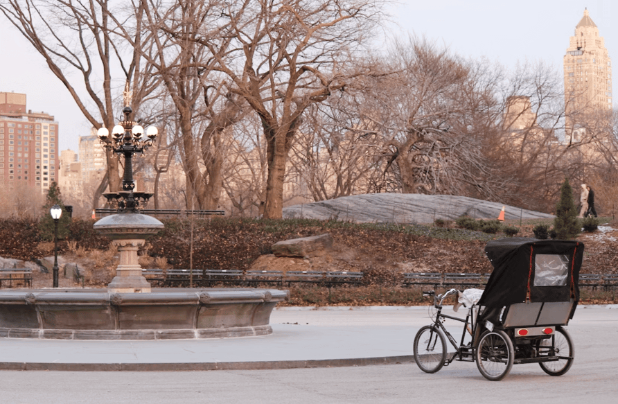 Ride In Central Park | Tours Photo