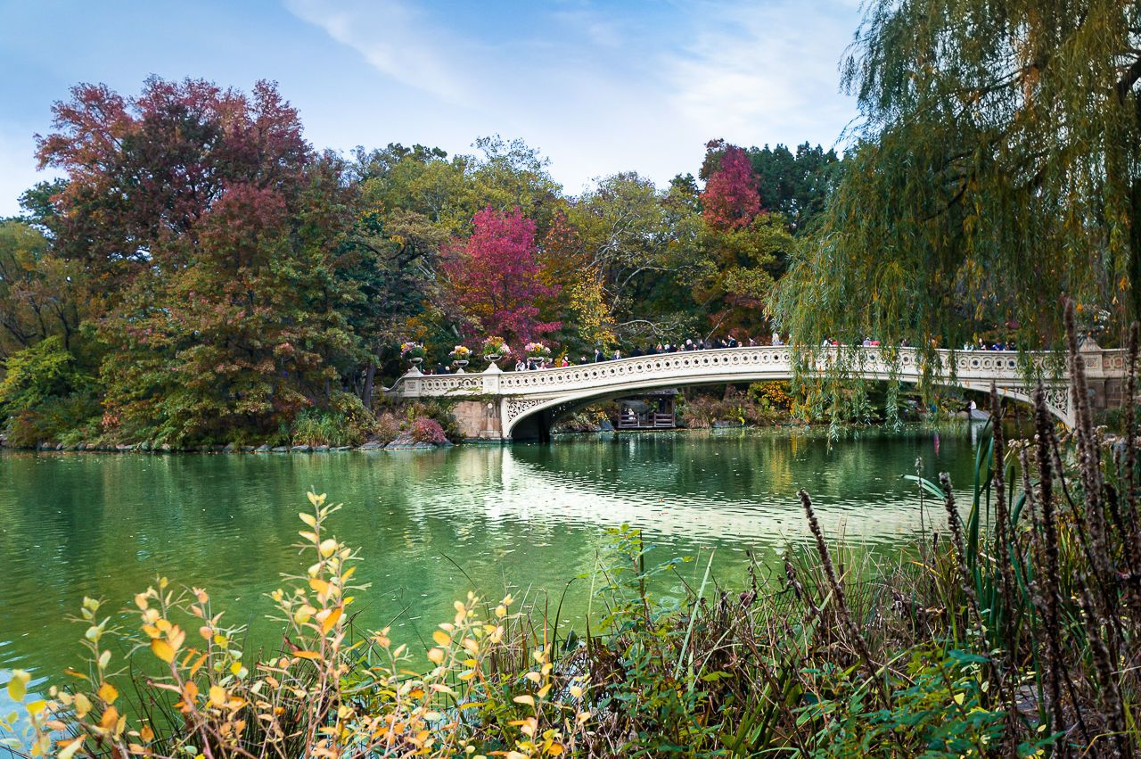 Bow Bridge